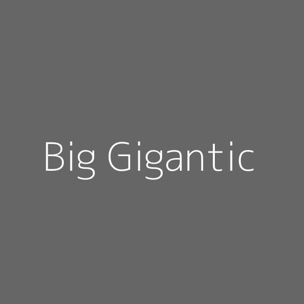 Big Gigantic